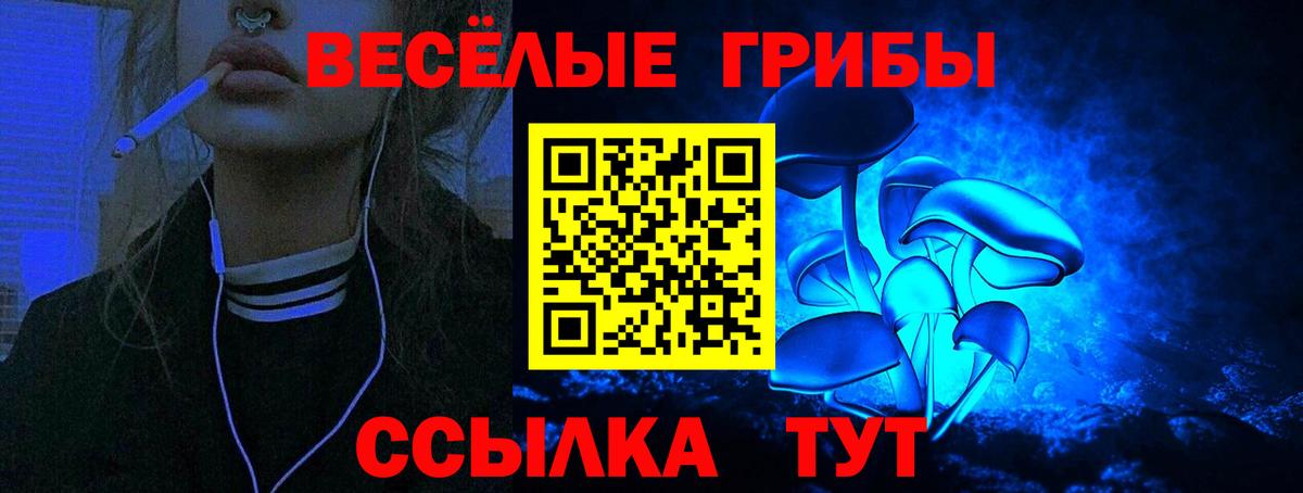 Псилоцибиновые грибы Psilocybe  Вход с VPN  где найти наркотики  Псилоцибиновые грибы Cubensis  Пушкино 